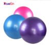 exercise ball 55cm