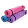 Portable exercise mat